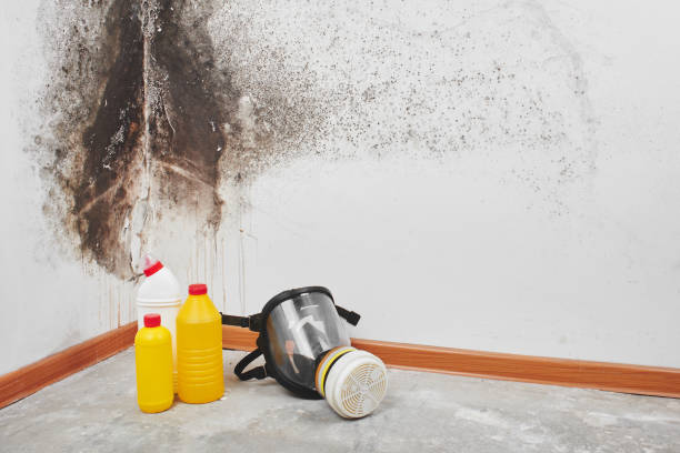 Best Water Damage Restoration  in Edgemere, MD