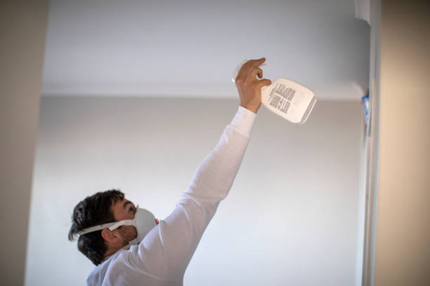 Best Black Mold Removal  in Edgemere, MD