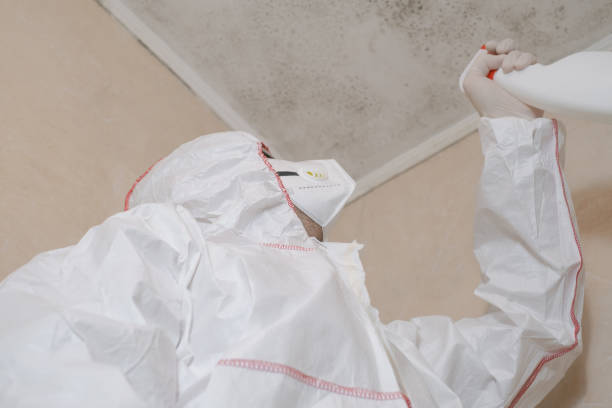 Best Emergency Mold Removal  in Edgemere, MD